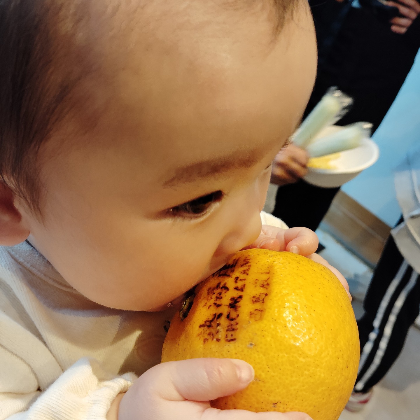 西島農園のみかん提供